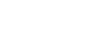 Digital Raptor – Web Agency